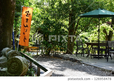 Terrace seats and fresh greenery at Kusanagi Square, Atsuta Shrine, Nagoya Terrace seats and fresh greenery at Kusanagi Square, Atsuta Shrine, Nagoya 126958478