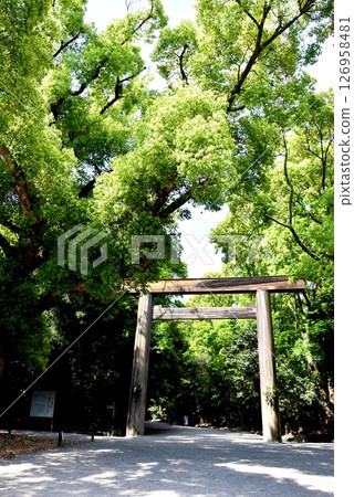 名古屋市熱田神宮正門（南門）和新綠 126958481