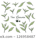Illustrations of Japanese tea leaves, including matcha and green tea 126958487