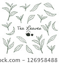 Line drawing illustration of Japanese tea leaves, such as matcha and green tea 126958488