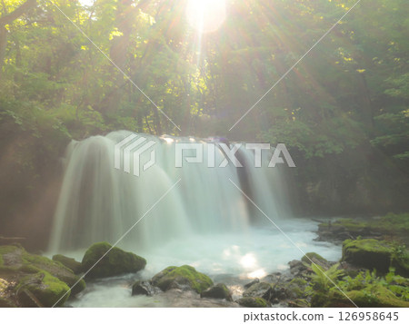 Waterfalls and light in the Oirase Gorge: A refreshing landscape surrounded by greenery Waterfalls and light in the Oirase Gorge: A refreshing landscape surrounded by greenery 126958645
