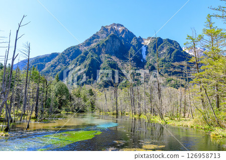 長野縣松本市岳澤濕地上高地的初夏 126958713
