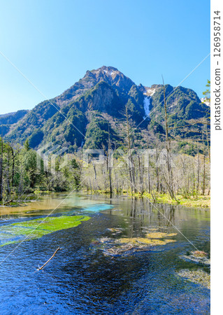 Early summer in Kamikochi, Dakezawa Marsh, Matsumoto City, Nagano Prefecture 126958714