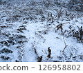 Winter scene of dead grass covered with fresh snow 126958802