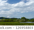 A quiet pond surrounded by fresh greenery in early summer 126958803