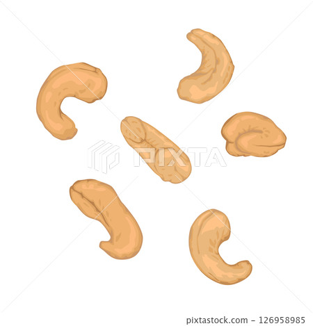 Roasted cashew nuts illustration Roasted cashew nuts illustration 126958985