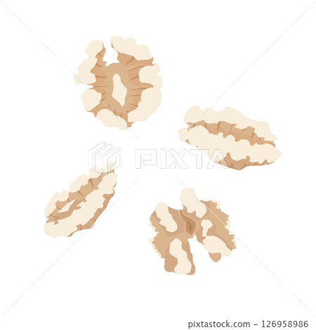 核桃的插圖 核桃的插圖 126958986