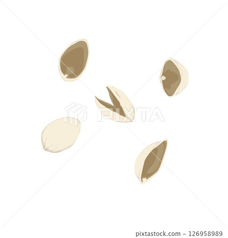 開心果殼插圖 開心果殼插圖 126958989