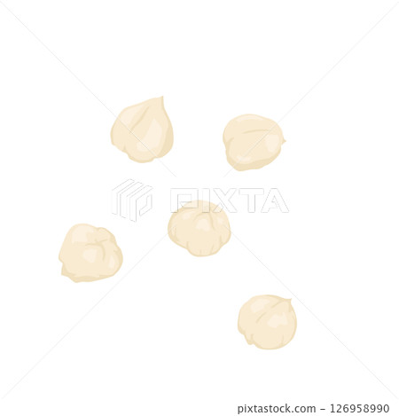 榛子插圖 榛子插圖 126958990