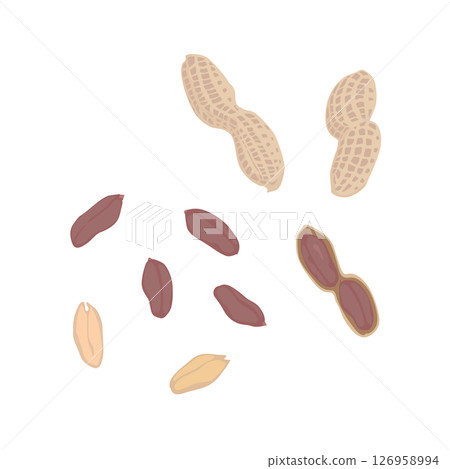 帶殼花生的插圖 126958994