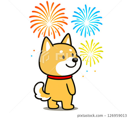 柴犬觀賞五彩繽紛的煙火 柴犬觀賞五彩繽紛的煙火 126959013