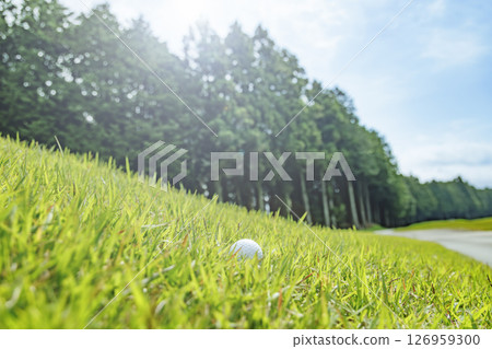 Golf course with beautiful fresh green grass Golf course with beautiful fresh green grass 126959300