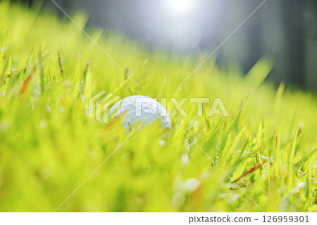 高爾夫球場與美麗新鮮的綠草 126959301
