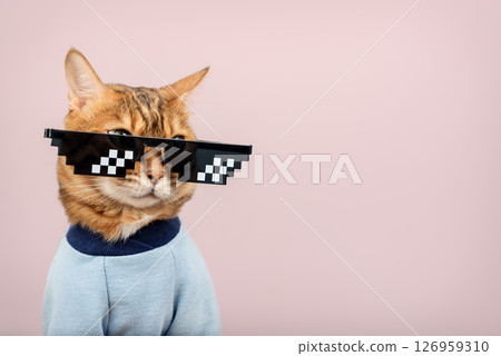 Bengal cat wearing pixelated glasses. Bengal cat wearing pixelated glasses. 126959310