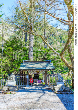 Early summer at Okumiya Shrine, Matsumoto City, Nagano Prefecture 126959415