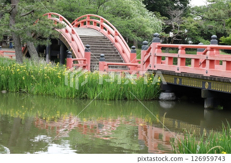 金澤文庫曲橋 金澤文庫曲橋 126959743