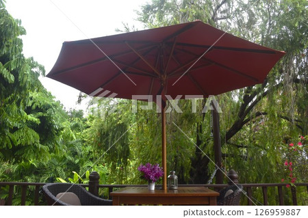 blue orchid decorating in flower pot and lantern on wooden table with red umbrella long handle on terrace 126959887