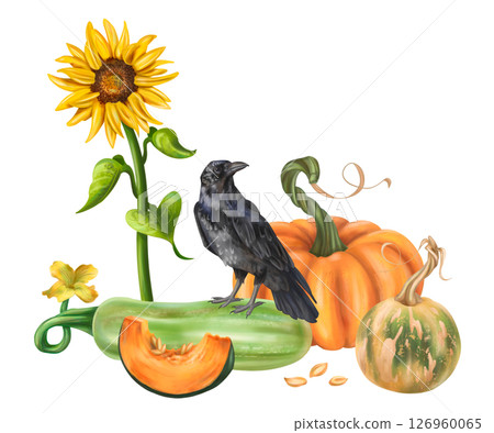 Autumn garden composition with pumpkin harvest, black raven, squash and sunflower. Healthy seasonal vegetables. Backyard decor, farm fields, garden. Autumn festival, Halloween. Isolated illustration 126960065