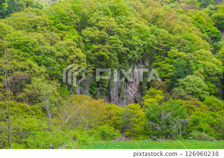 Cliffs and fresh greenery [Nagano Prefecture] 126960238
