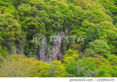 Cliffs and fresh greenery [Nagano Prefecture] 126960239