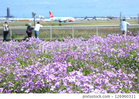 人們在成田機場的公園觀看飛機 126960311