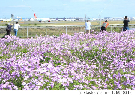 人們在成田機場的公園觀看飛機 126960312