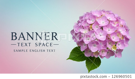 Pretty pink hydrangea and a soft gradation background 126960501