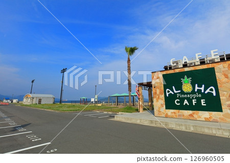 [Hiroshima Prefecture] Bayside Beach Hill on a sunny day (Mizushiri Park) 126960505
