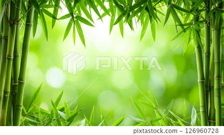 Beautiful green bamboo leaf frame 126960728