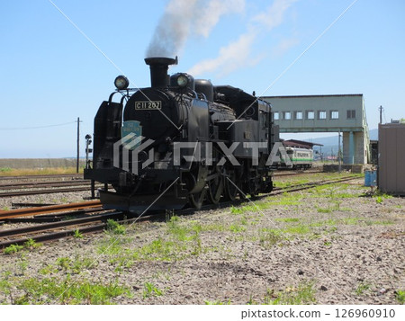 C11-207 SL Hakodate Onuma Locomotive Taking a Break C11-207 SL Hakodate Onuma Locomotive Taking a Break 126960910