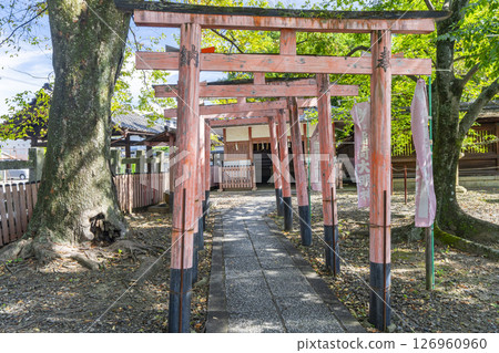 Toyokuni Shrine precincts Makimoto Inari Shrine (Chayamachi in front of Yamato Oji, Higashiyama Ward, Kyoto City) 126960960