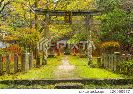 比叡山延歷寺 西塔 身延弁財天 紅葉季節 126960977