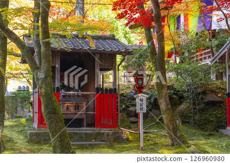 秋天的京都,熊野觀音寺,稻荷神社被秋葉包裹著 秋天的京都,熊野觀音寺,稻荷神社被秋葉包裹著 126960980