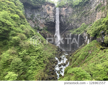Waterfall in fresh green 126961557
