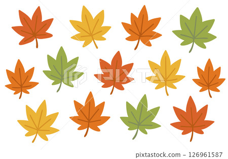 Maple leaves, autumn leaves set 126961587
