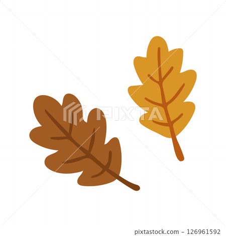 Fallen leaves, autumn leaves, leaves, autumn materials 126961592