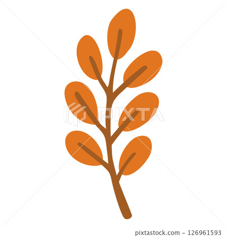 Fallen leaves, autumn leaves, leaves, autumn materials 126961593