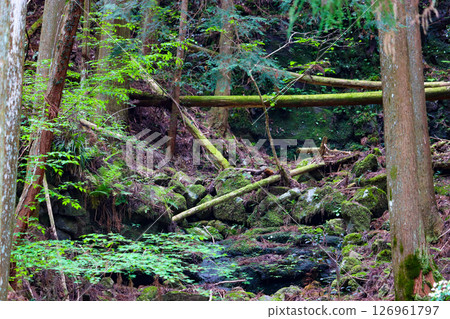 Mountains in Nabari, Mie Prefecture Mountains in Nabari, Mie Prefecture 126961797