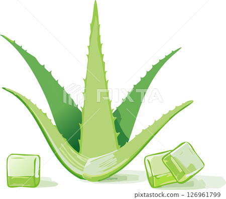 Bright green aloe vera leaves arranged in a radial pattern with glossy gel cubes scattered below, flat design on white background, minimal shading and smooth clean lines for a fresh and modern herbal 126961799