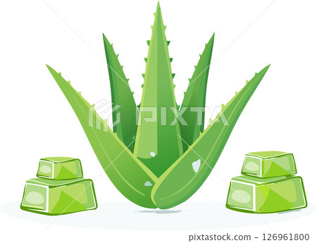 Simple aloe vera illustration with thick green leaves and translucent gel cubes, designed in a minimal flat style with clean shadow, isolated on a white background with copy space. Simple aloe vera illustration with thick green leaves and translucent gel cubes, designed in a minimal flat style with clean shadow, isolated on a white background with copy space. 126961800