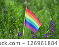 Rainbow Flag LGBT Outdoor on Nature Background. Pride Month. Lesbian Gay Bisexual Transgender. Love, human rights, tolerance 126961884