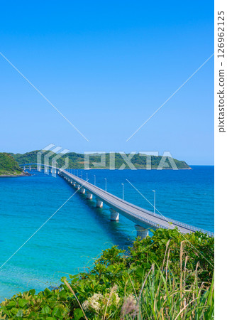 [Vertical photo] Tsunoshima Bridge 126962125