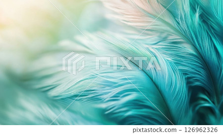 Delicate turquoise feather texture 126962326