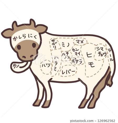 牛內臟插圖 牛內臟插圖 126962562