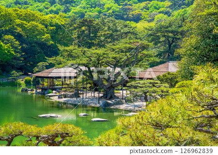 香川縣Rikurin公園 香川縣Rikurin公園 126962839