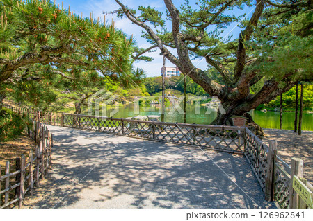 香川縣Rikurin公園 126962841