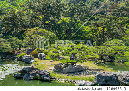 Rikurin Park, Kagawa Prefecture 126962843