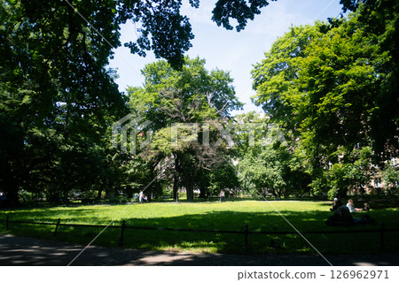 Lush park Lush park 126962971