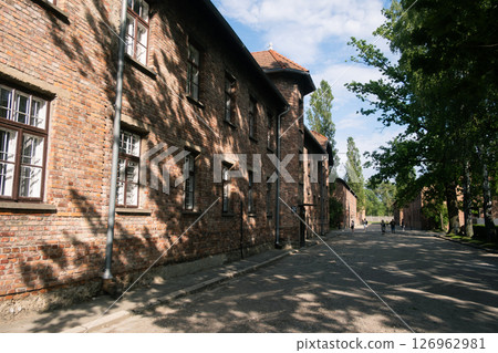 奧斯維辛集中營景觀 126962981