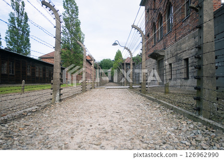 View of Auschwitz concentration camp 126962990
